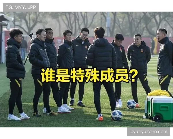 球员资格规则详解：如何判定比赛中球员的合法参赛身份
