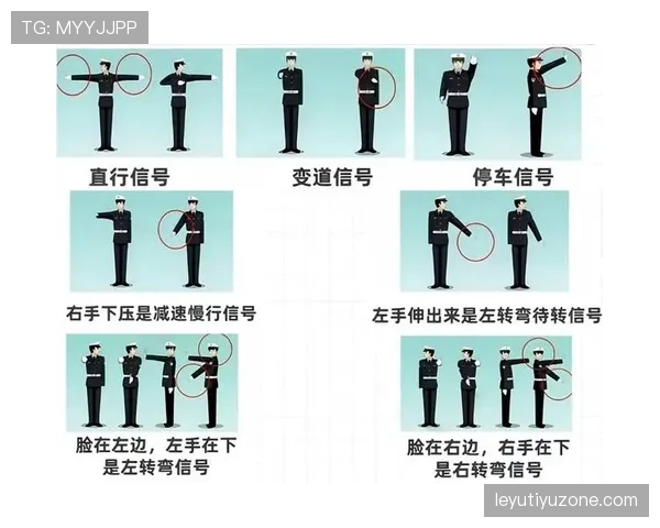 裁判手势解读：比赛现场常见判罚信号与含义